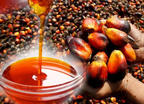 Original Palm Oil